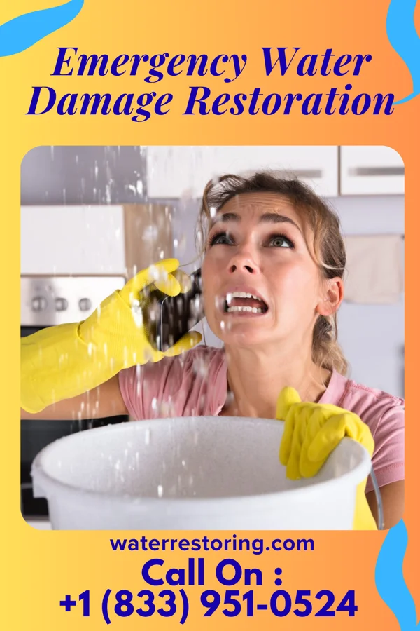 Emergency Water Damage Restoration in Plano, IA